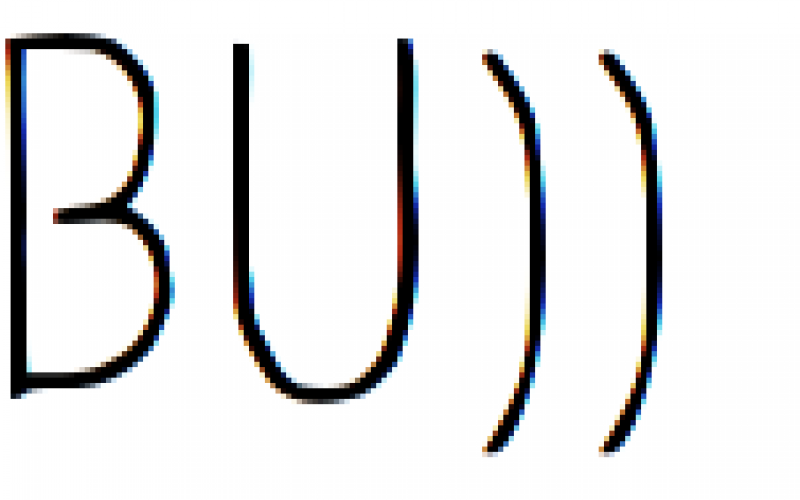 kuda.